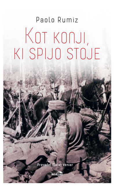 Kot konji, ki spijo stoje